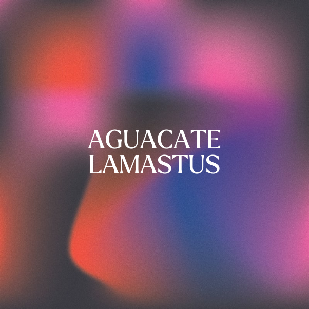 AGUACATE LAMASTUS 14.5G