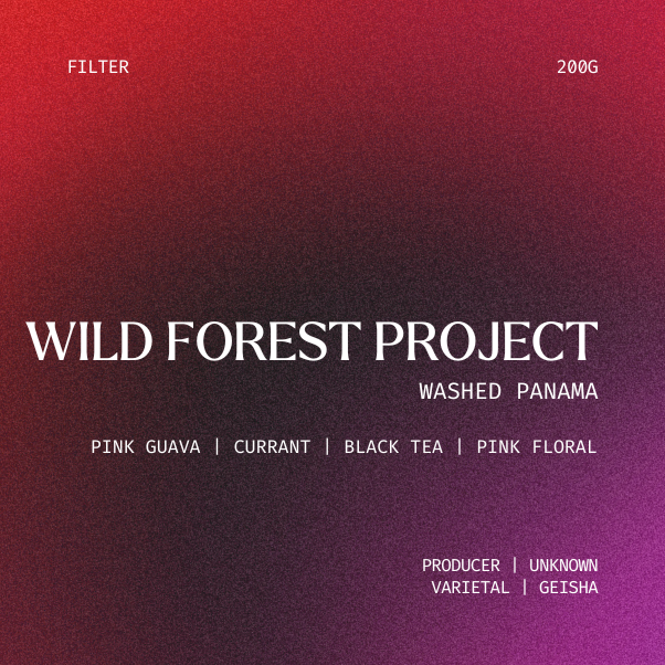 Filter | Wild Forest Geisha Project, Panama