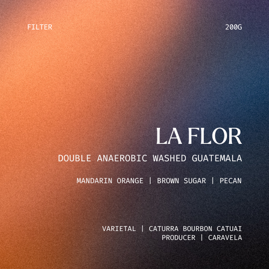 Filter - La Flor, Guatemala