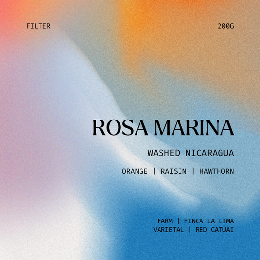 Filter | Rosa Marina, Nicaragua