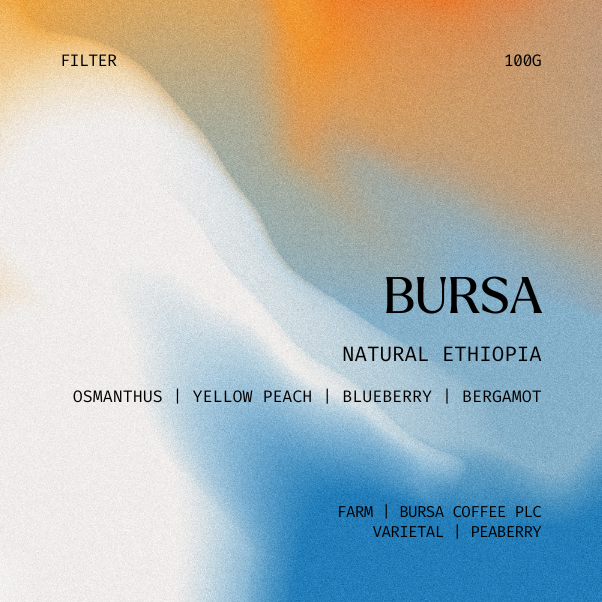Filter | Bursa, Ethiopia