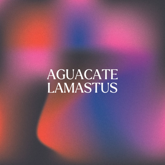 AGUACATE  LAMASTUS 14.5G