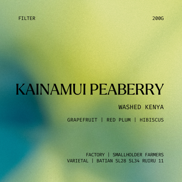 Filter | Kainamui PB, Kenya