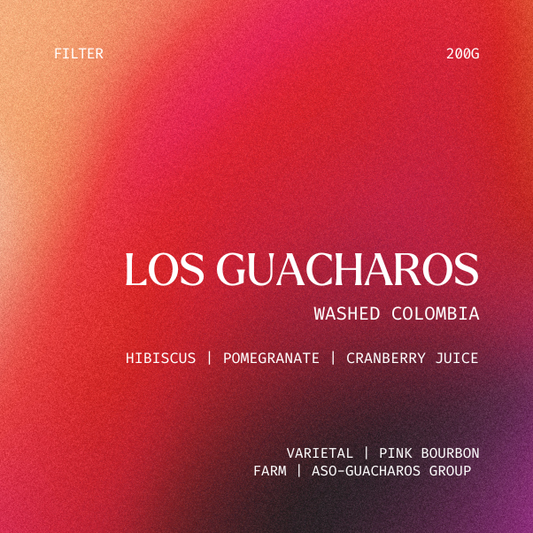 Filter - Los Guacharos, Colombia