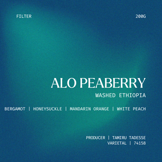 Filter | ALO Peaberry, Ethiopia