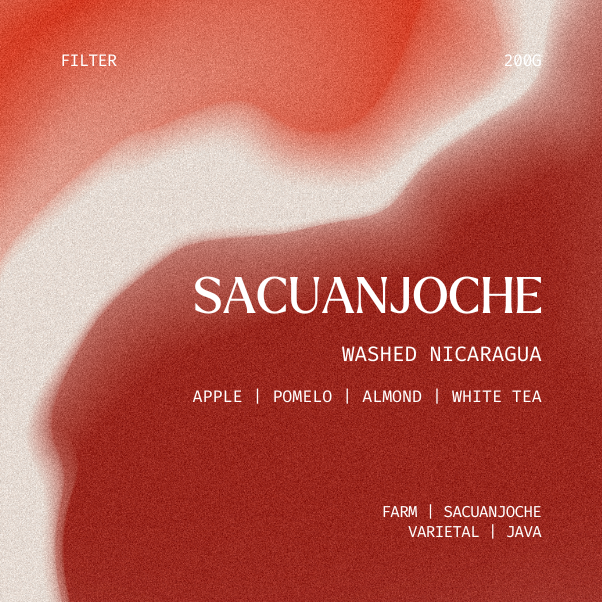 Filter | Sacuanjoche, Nicaragua