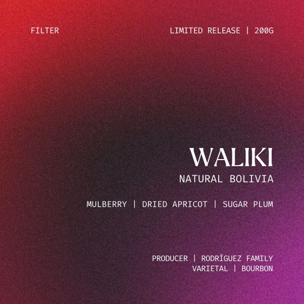 *Limited Release* Filter | Waliki Bourbon, Bolivia