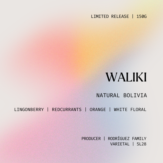*Limited Release* Filter | Waliki, Bolivia