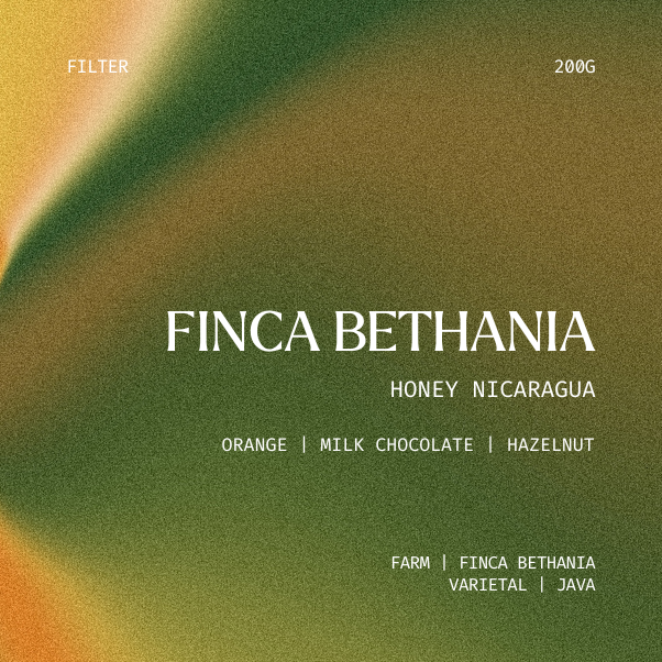Filter | Finca Bethania, Nicaragua