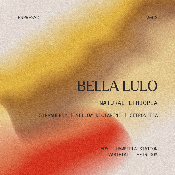 Espresso | Bella Lulo, Ethiopia