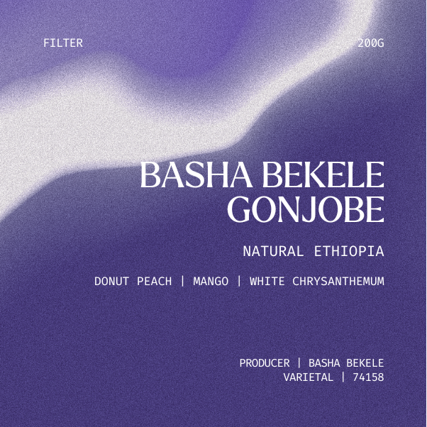 Filter | Basha Bekele Gonjobe, Ethiopia