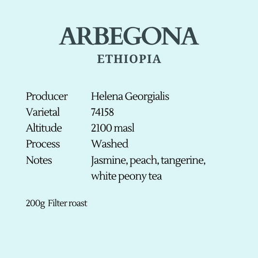 Filter - Arbegona, Ethiopia