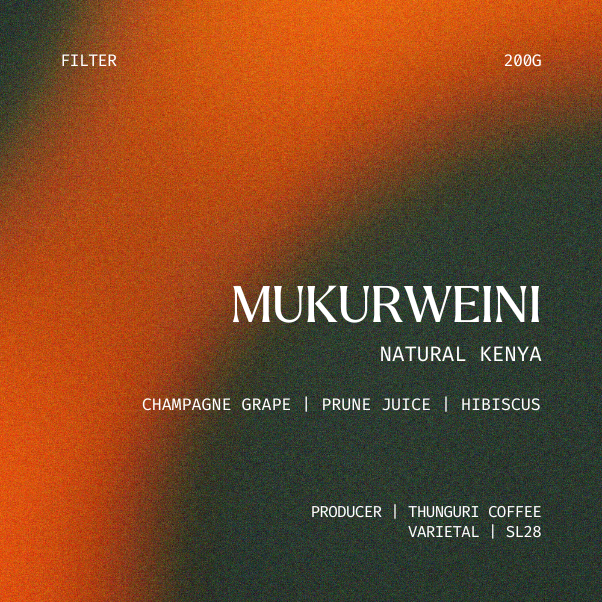 Filter | Mukurweini, Kenya